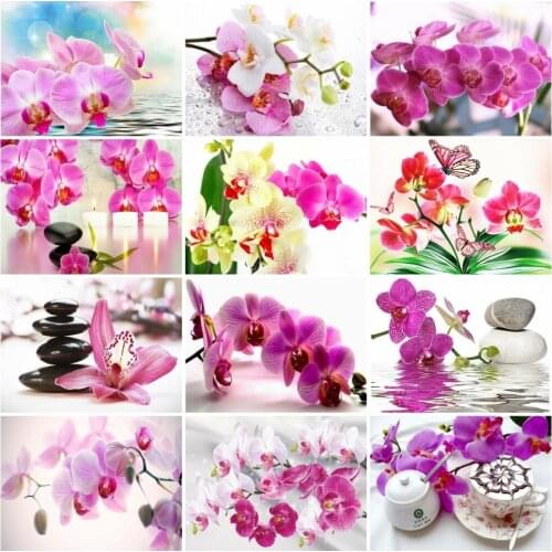 AZQSD Painting By Number Flower Orchid Stone Drawing On Canvas Diy Frame Paint By Numbers Floral Kits Modern Wall Art Gifts