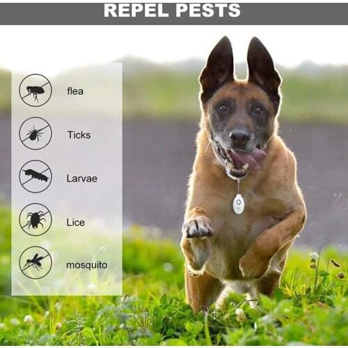 USB Ultrasonic Flea Tick Repeller Pets Supplies ALI88