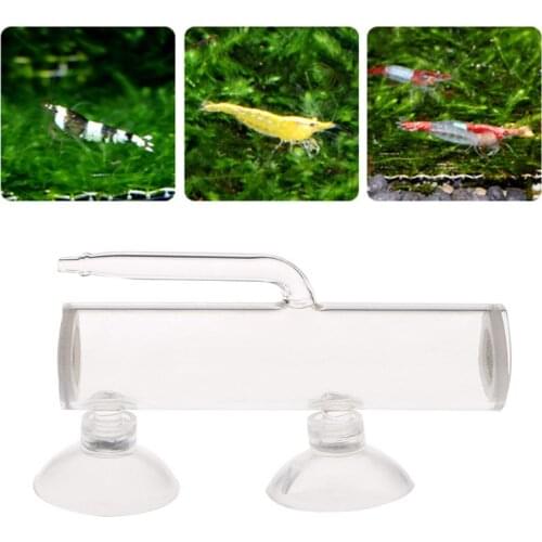 Aquarium big eggs hatcher air pump driven glass incubator for fish tank crystal shrimp fertilized egg hatching