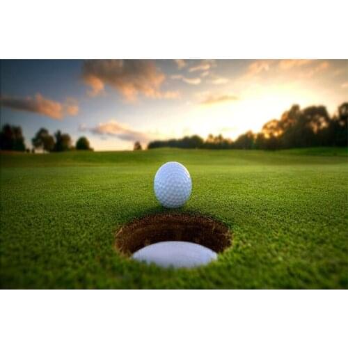 Full Square/Round Drill 5D DIY Diamond Painting "Golf Scenery" Diamond Rhinestone Embroidery Cross Stitch 5D Home Decor