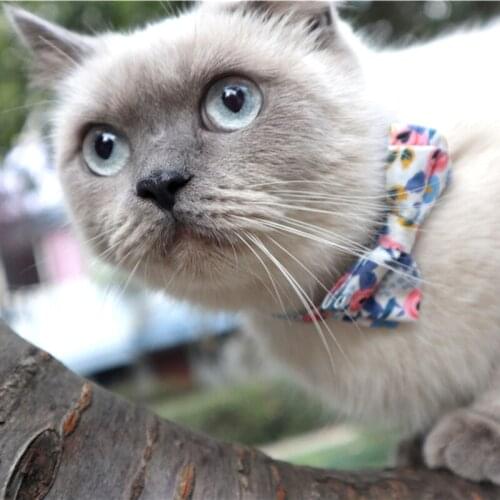 Floral Pattern Pets Cat Collars Safety Buckle Adjustable Puppy Chihuahua Necklace Collar Cute Bowknot Kitten Bow Tie