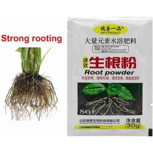 30g Fast Rooting Powder Plant Growth Rapid Rooting Powder For Seedling Bonsai Tree Cutting Fungicide Rooting Hormones Fertilizer