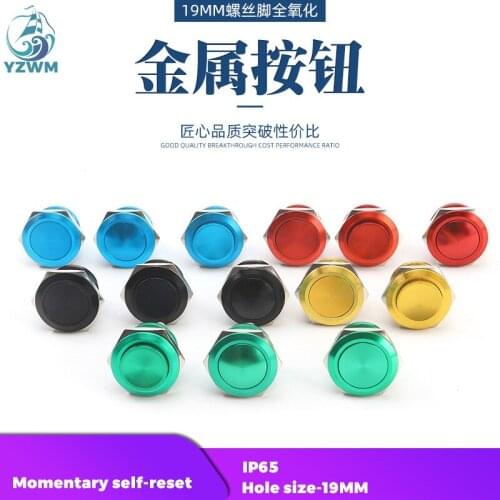 YZWM 19mm Metal Button Flat Head Self Reset Waterproof Inching One Normal Door Opening Switch Screw Foot Car Refitting