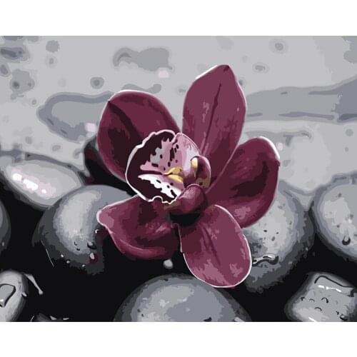 ROYALDREAM A red flower Diy Digital Painting By Digital Modern Wall Art Pictures For The Home Wall Art Works