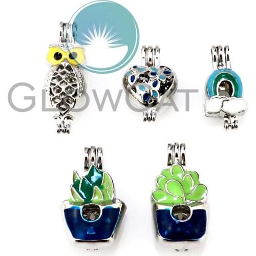 5X Colors Enamel Rainbow Plant Potted Owl Heart Beads Cage Perfume Essential Oil Diffuser Pearl Cage Locket Pendant