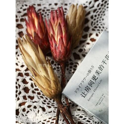 South Africa Imported Lotus Dried Flowers Home Soft Decoration with Dried Branches Homestay Hotel Model Room Decoration Dried Fl