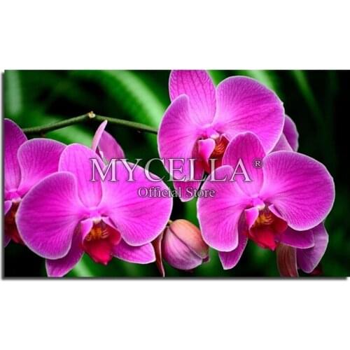 5D DIY Diamond Painting Flowers Full Round Diamond Embroidery Orchid Pictures Rhinestone Diamond Mosaic Home Decor Crafts Gift
