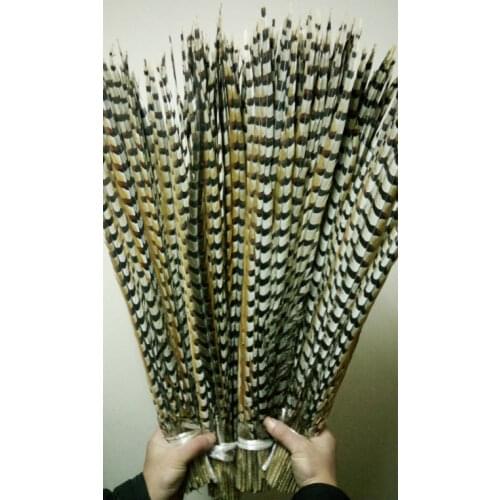 Wholesale perfect 100pcs Rare natural Reevess Pheasant feathers 28-32inch/70-80cm Decorative diy