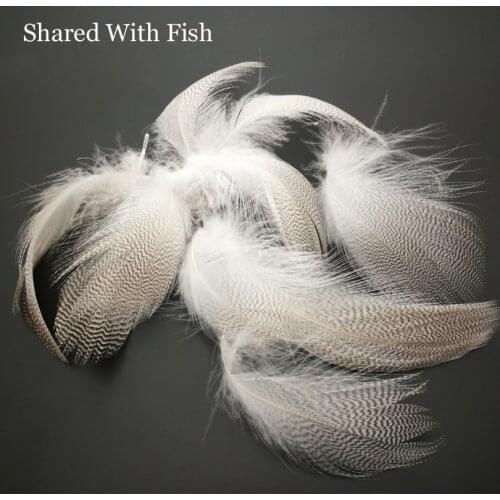 10Pcs Natural Barred Mallard Duck Flank Feathers Wild Goose Hair for Fly Wings Tails Streamers Fly Tying Material