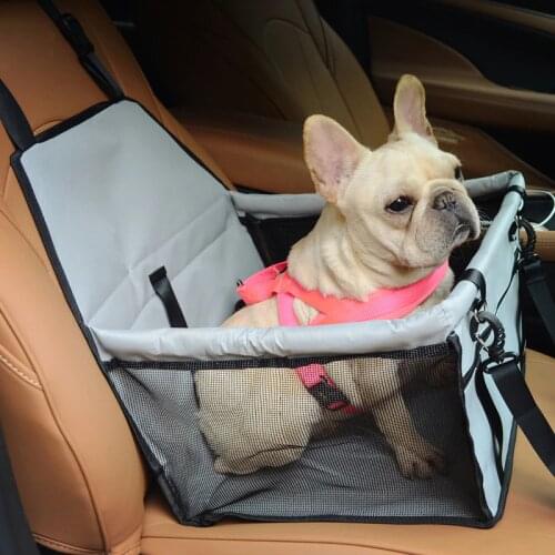 PetMundo Bags And Suitcases