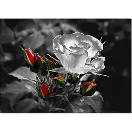 Diamond Embroidery Black White Rose Flower Diy Diamond Painting Cross Stitch Square Round Mosaic Rhinestone Adult GiftsZP-4612