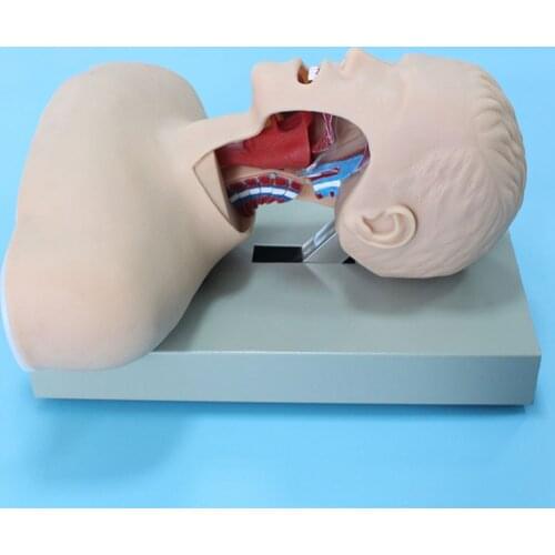 Advanced Human Adult Airway Trachea Intubation Model with Alarm Device