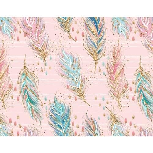 Beauty feathers clothes shops photography backdrops vinyl child photo backgrounds for photo Studio accessories photocall NB-246