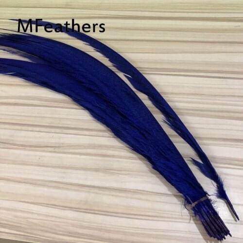 MFeathers 50pcs Royal blue Dyed Golden Pheasant tails Feather 60-75cm long chicken zebra feather lady amherst for carnival decor