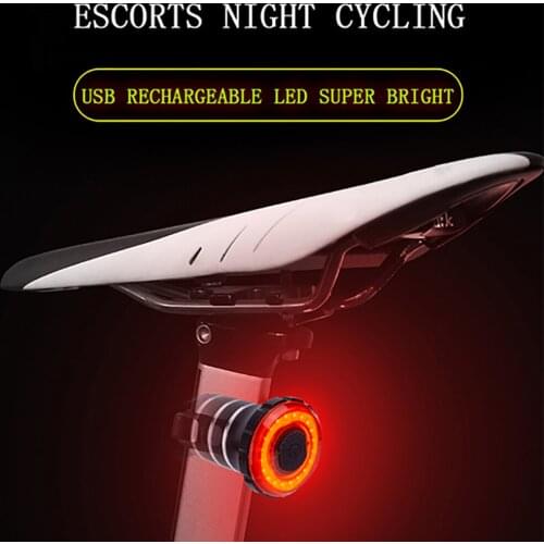 ZTTO Bike Light LED Bicycle IPx6 Waterproof USB Charging Taillight Cycling Flashlight Auto Brake Sensing SmartRear Light