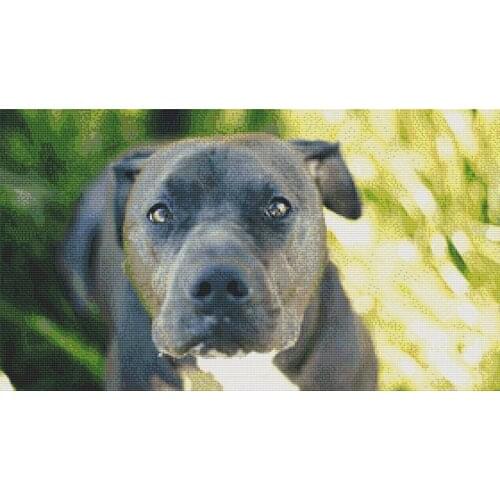 Manufacturer Embroidery Pitiful Pitbull Cross Stitch Pattern Animal Series with 100% Cotton Floss & Free Shipping for Wall Decor