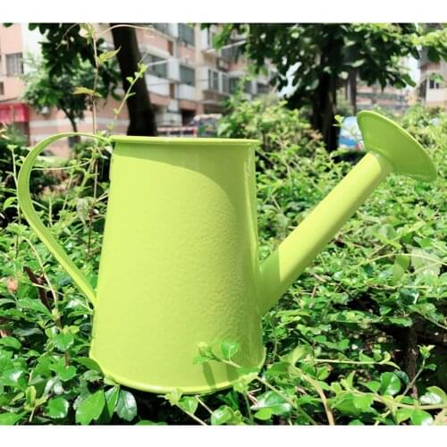 Iron Watering Can Flower Plant Shower Tool Gardening Long Spout Water Kettle Sprinkled Kettle Garden Irrigation Spray Bottle
