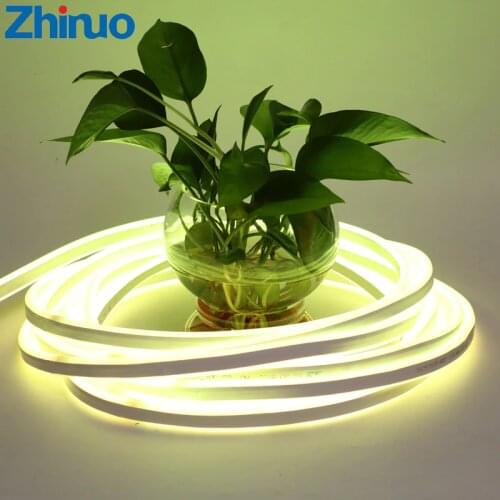 ZHINUO Festive Lighting