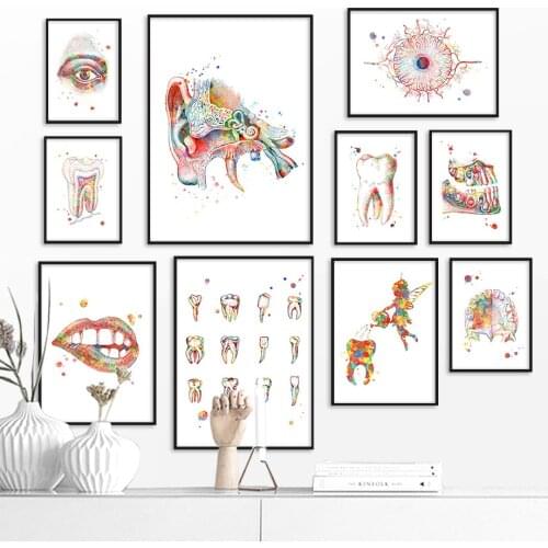 Teeth lips Ear Eye Anatomy Wall Art Canvas Painting Nordic Posters And Prints Wall Pictures For Doctor Office Decor