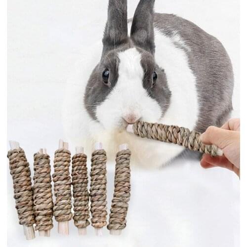 Small Animals Snacks Chew Toys 6Pcs Bamboo Apple Wood Molar Toy For Hamster Squirrel Rabbit Guinea Pigs Chinchilla