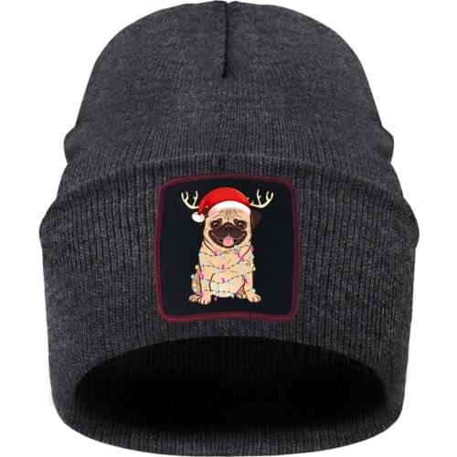 Puppy Christmas Gift Unisex Hats Knitted Streetwear Beaines Skiing Knit Hat Autumn Winter Black Hip Hop Gorras Chapeu Feminino