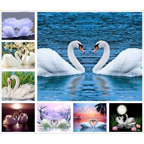 White Swan Heart-Shape 5D Diy Full Square and Round Diamond Painting Embroidery Cross Stitch Kit Wall Art Handcraft Home Decor