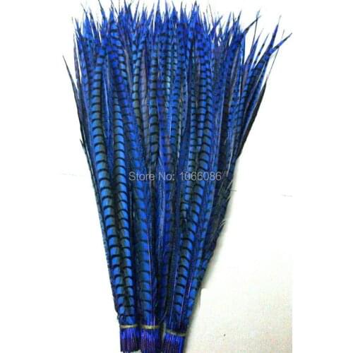 EMS Free Shipping 80-90cm 30-35 inches 50pcs Roay Blue ringneck Lady Amherst pheasant tails pheasant feather