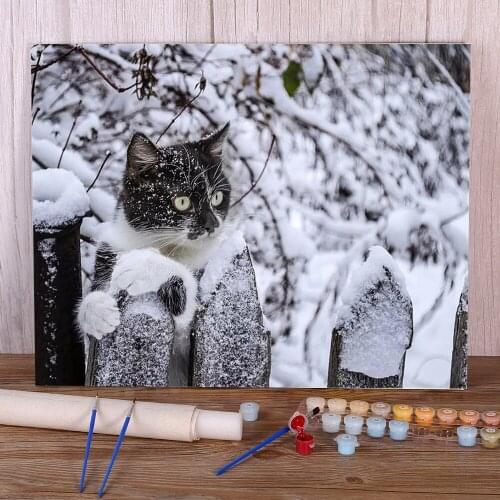Cat Winter Animal DIY Painting By Numbers Package Oil Paints 40*50 Painting On Canvas Wall Decoration Crafts Adults Drawing