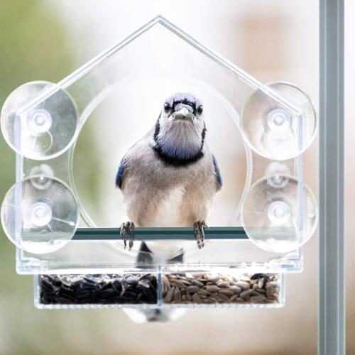 Acrylic Bird Feeder Window Viewing Bird Feeders Tray Birdhouse Pet Water Feeder With Suction Cup Mount Hanging Bird Feeder
