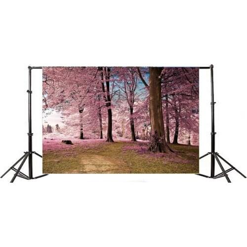 Photography Backdrop Dreamy World Fairy Tale Jungle Blue Sky Nature Romantic