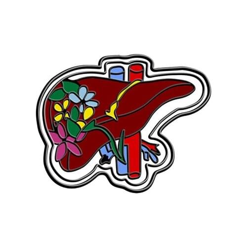 Anatomical Liver Brooch and Enamel Pin Doctor and Nurse Medical Anatomy Brooch Liver Neurology Lapel Pin