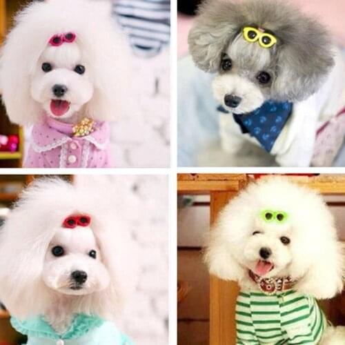 GHJISHO Dog Accessories
