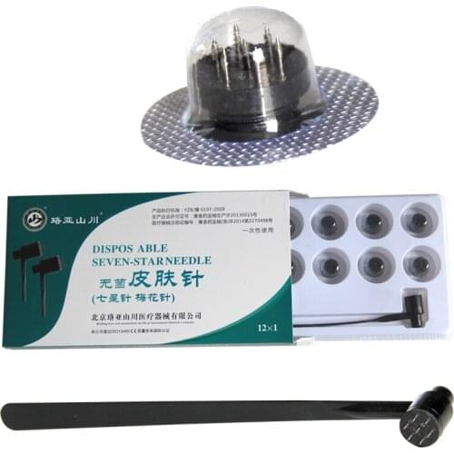 2018 NEW Disposable Needle beauty massage needle Dermal Needles with 12 Replacement Head seven stars needle massage apparatus
