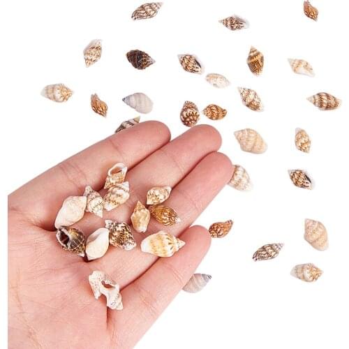 1 Box Assorted Sea Shell Shell Beads Jewelry Making DIY Beach