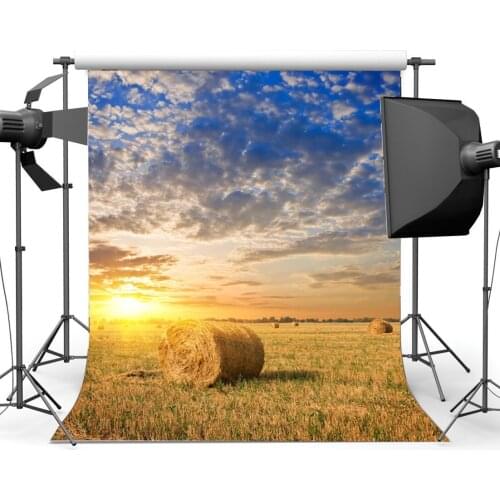 Photography Backdrop Nature Farmland Straw Hay Bale Wheat Field Blue Sky White Cloud Background