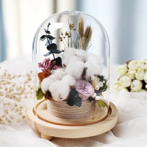 2sets/pack 12*15cm Different Wood Base Glass Dome Vase Home Decoration Log Base Glass Dome Friend Gift Wedding Decoration