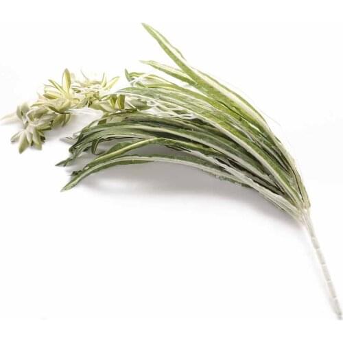 Artificial Plants Chlorophytum Imitation Plants Garden Supplies Wall Hanging Home Decoration Simulation Chlorophytum