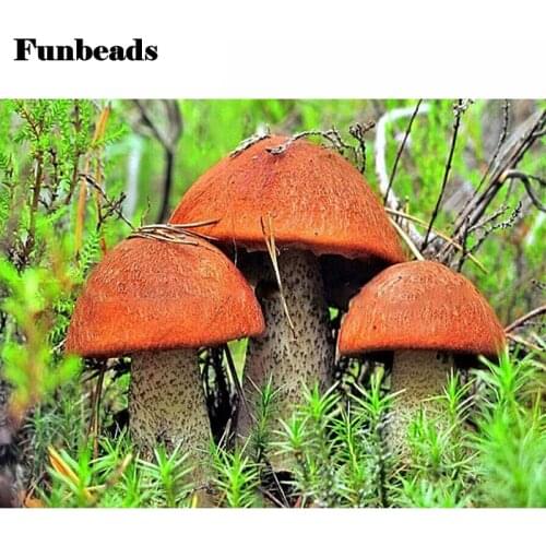 DIY Handmade Crafts Diamond Embroidery Square Diamond Mosaic Kits mushroom Rhinestones Diamond Painting Cross stitch kit FF2828