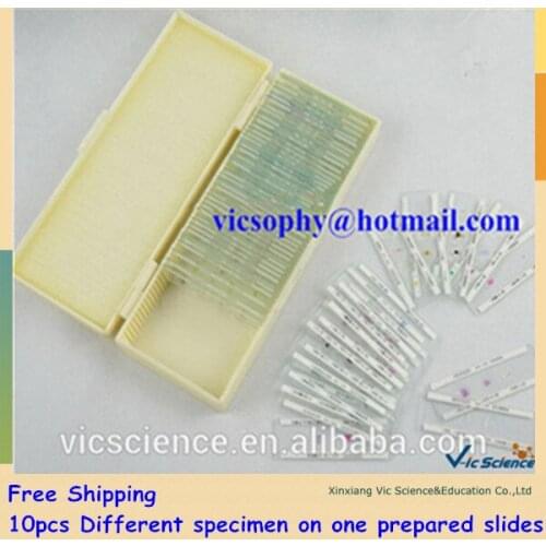 10pcs Different specimen on one prepared slides