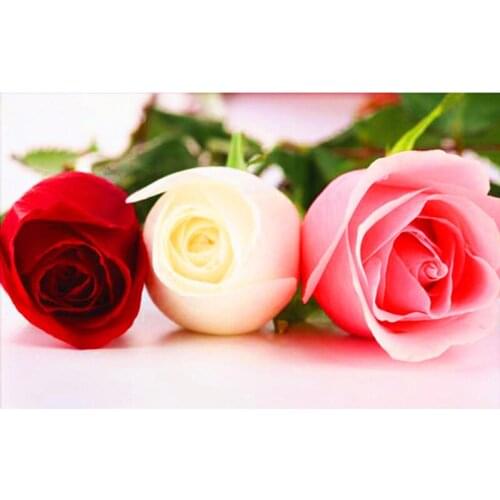 Needlework DIY Diamond Painting Cross Stitch Sewing Knitting Needles Diamond Embroidery Romantic three Water Rose Flower