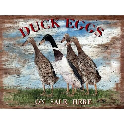 Metal Tin Sign Duck Eggs ON SALE HERE Agricultural Products Farm Wall Decoration Poster Retro Square Metal Plate 8X12 Inches