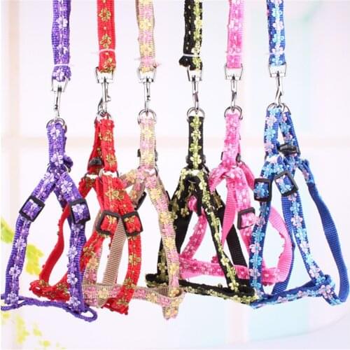 Pet Harness Leash Adjustable Dog Outdoor Walking Training Collar Lead Puppy Traction Rope Cat Small Pet Flower Chest Strap