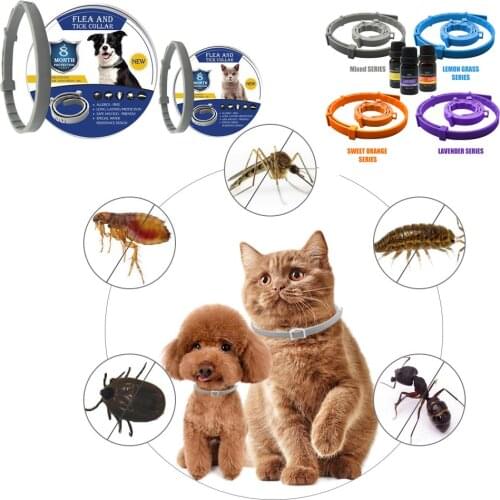 Pet Collar Anti Flea Ticks Dog Cat Waterproof Mosquitoes Outdoor Adjustable Flea Pet Collar Dog Accessories 8 Months Protection