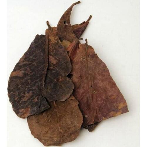 Cs Aqua Aquarium Cleaners