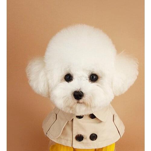 Designer Dog Clothes Pet Ropa Perro Costume Para For Small Dogs French Bulldog Jacket Cute British Bandage Bib Windbreaker Cloak