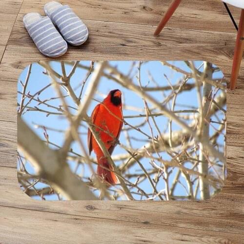 Bedroom Bed Front Land Stepping Pad Shower Room Non-slip Rug Northern Cardinal Bird Bathroom Bath Mat Living Room