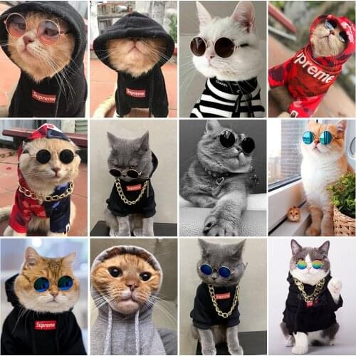 DIY 5D Diamond Embroidery Cute Animal Pet Cat Diamond Painting Full Round Drill Cross Stitch Kit Mosaic Rhinestone Picture Gift