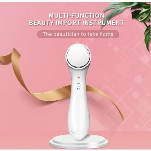 Facial Vibration Massage InstrumentIon Ion Import Export Tool Multi-Function Facial Cleanser Beauty Equipment Face Skin Care