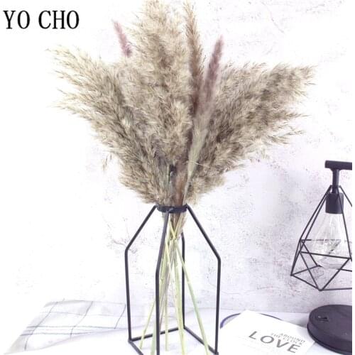 YO CHO 5 PCS Bulrush Natural Dried Flowers Artificial Plant Branch Pampas Grass Phragmites Fake Flower Wedding Home Decoration