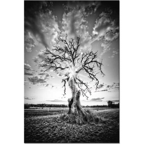 Modern Black White art life Tree Diy 5d Diamond Embroidery Cross Stitch Full SquareRound Diamond Painting HandmadeZP-3487